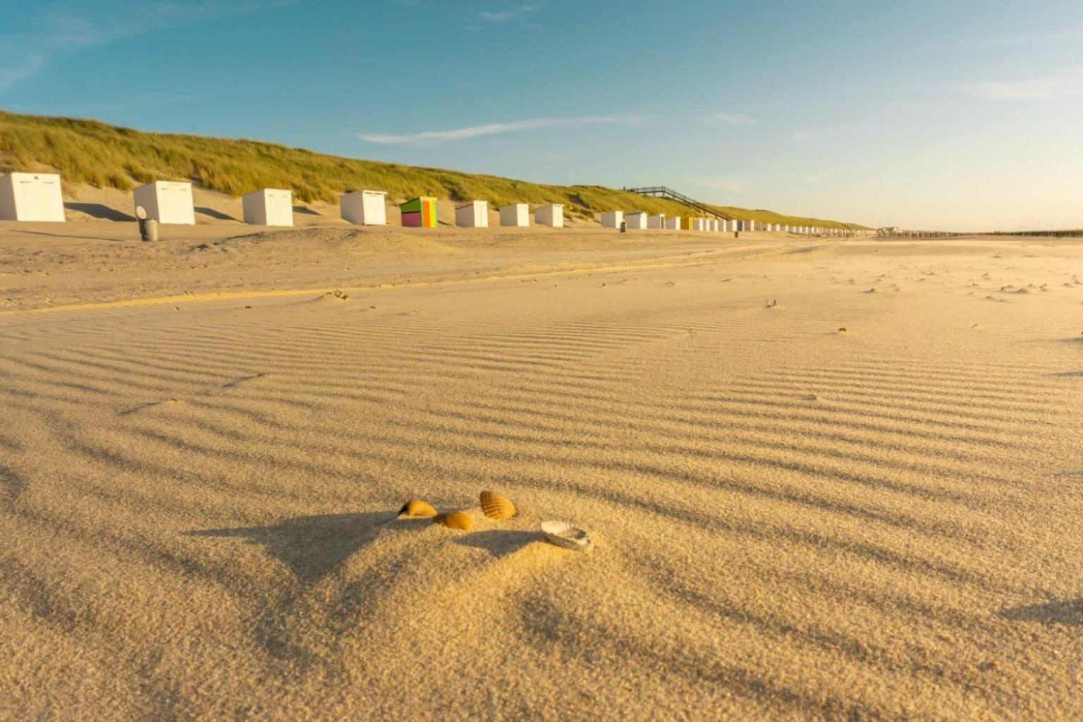 Heinkenszand 'Relax Lodge Sea' - Wellness Lodge In Zeeland - Private Sauna - Airco - Garden - Outdoor Swimming Pool - Free Wifi, Towels & Bed Linen מראה חיצוני תמונה
